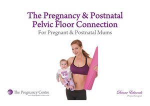 The Pregnancy and Postnatal Pelvic Floor Connection e-booklet