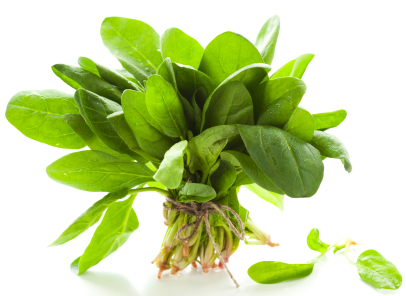 iStock_000015773844XSpinachSmall.jpg